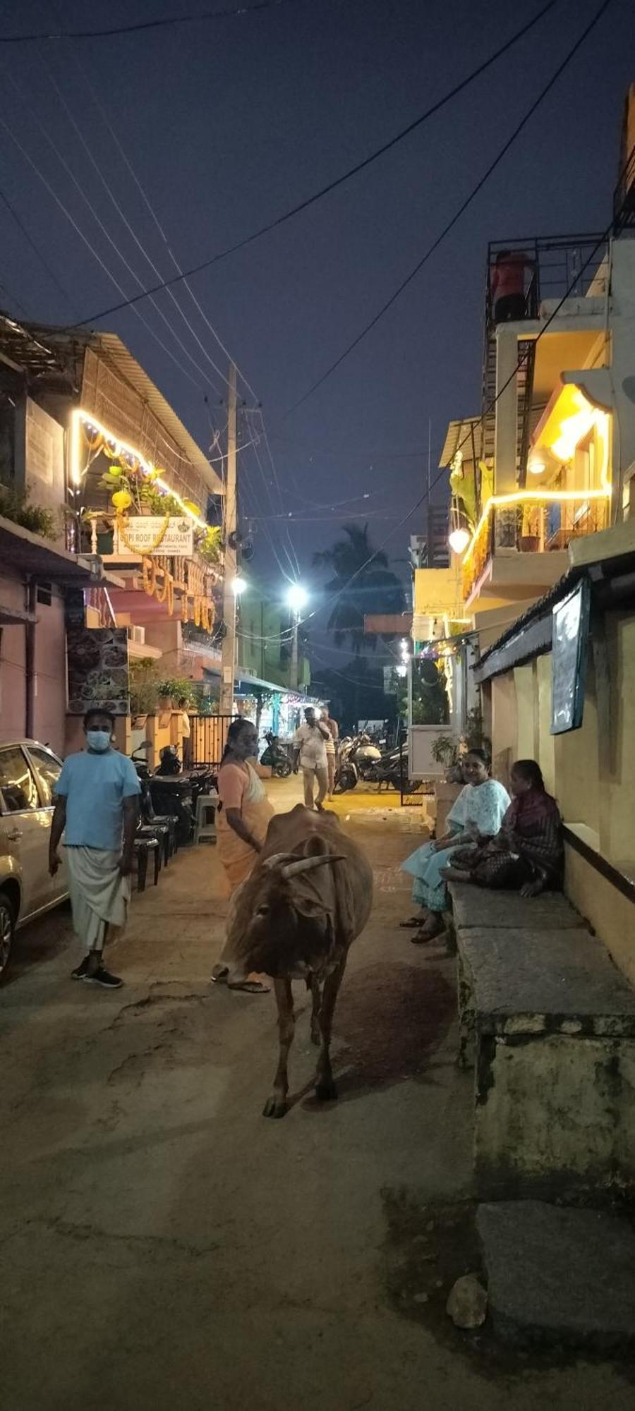 Gopi Guest House Hampi Bagian luar foto